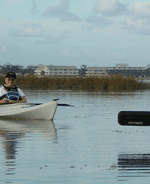 Kayaking in cedarkey